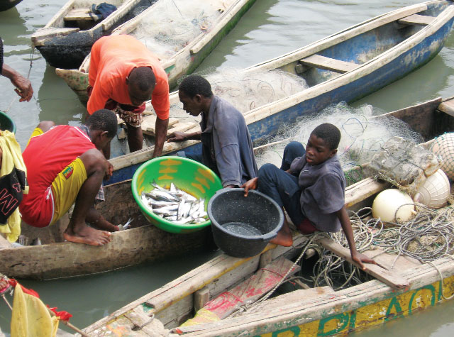 khai thác thủy sản vùng biển Guinea
